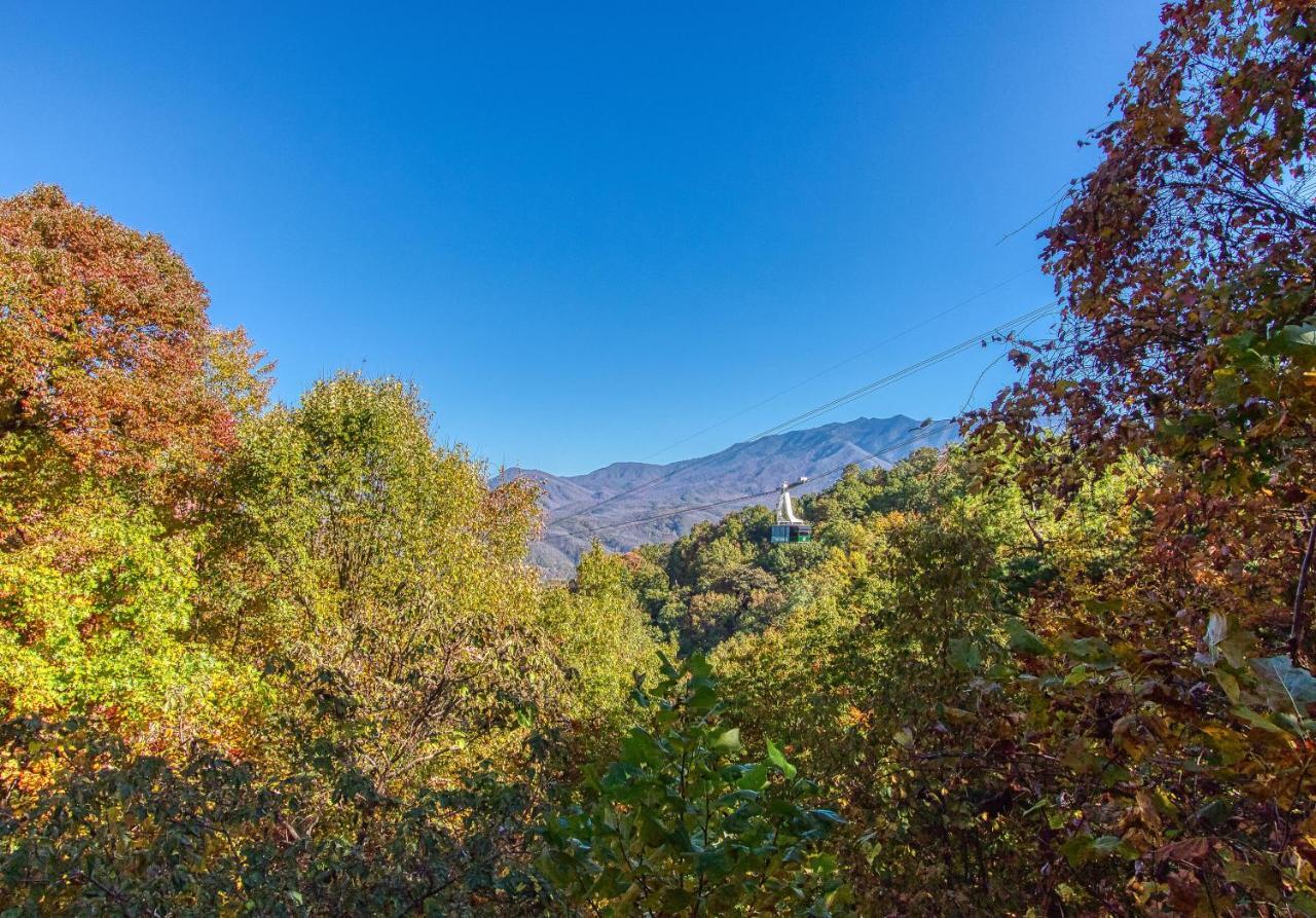 Daya, Hot Tub, Pool Table, 1089 Of Free Attraction Tickets For Each Paid Day, Dollywood And More! Gatlinburg Exterior photo